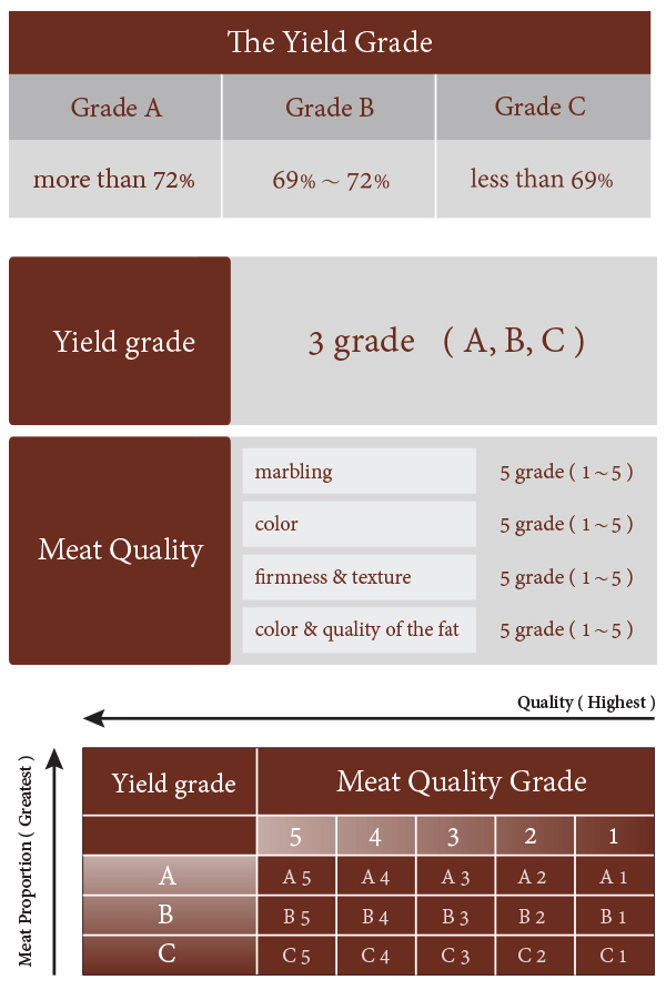 wagyu grading